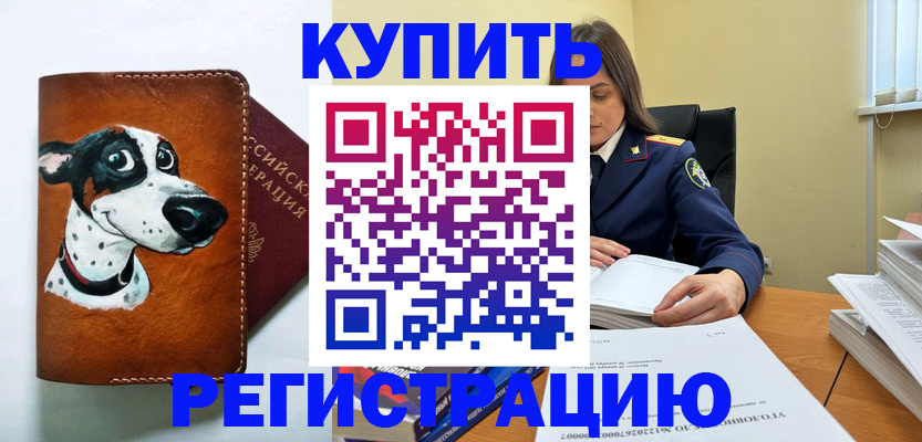временная регистрация для всех в Волгограде